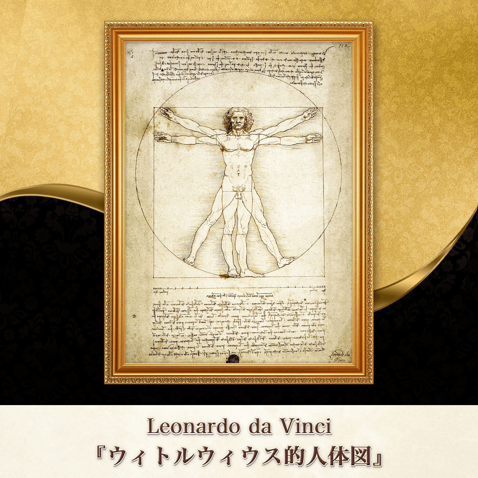 レオナルド・ダ・ヴィンチ『ウィトルウィウス的人体図』複製画 【額入り】